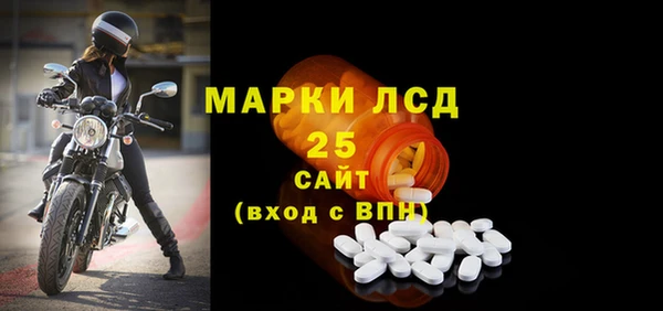 прущие грибы Балахна