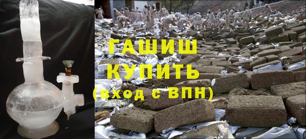 прущие грибы Балахна