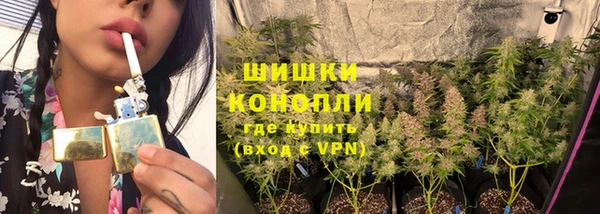 ПСИЛОЦИБИНОВЫЕ ГРИБЫ Белокуриха