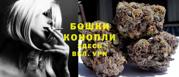 прущие грибы Балахна