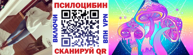 Псилоцибиновые грибы Cubensis  где купить наркоту  Заполярный 